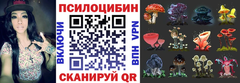 купить наркотик Чебоксары Галлюциногенные грибы Cubensis