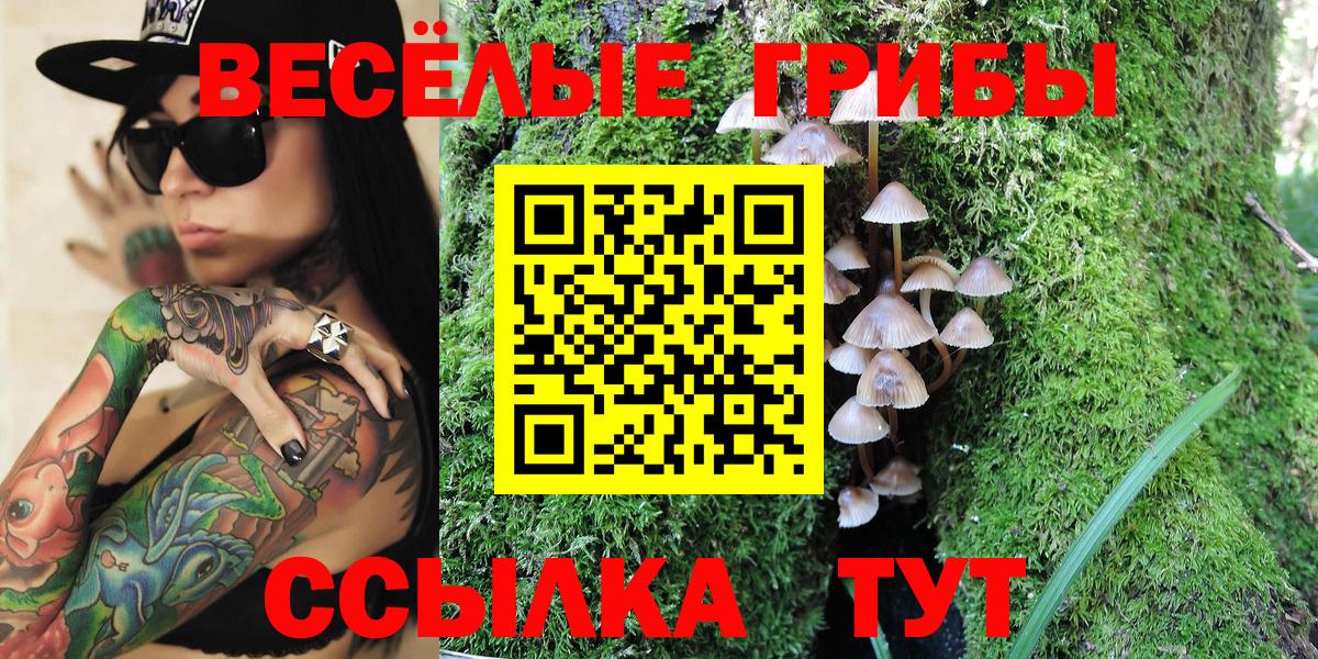 Галлюциногенные грибы мицелий  Вход с VPN  Чебоксары  Галлюциногенные грибы Magic Shrooms 