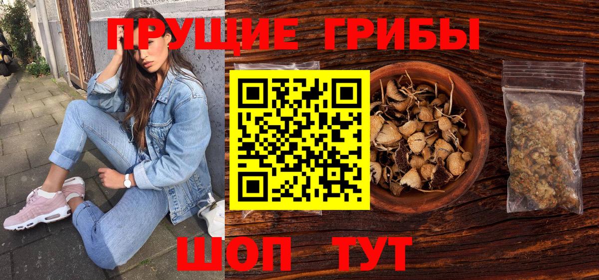 Псилоцибиновые грибы мухоморы Чебоксары